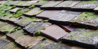 Whelpley Hill roof repair costs